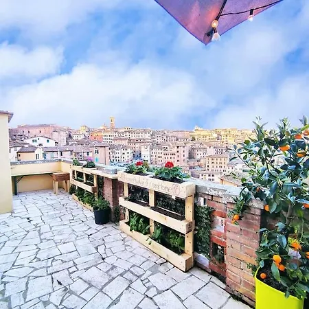 Gest Short Rent 2 Siena